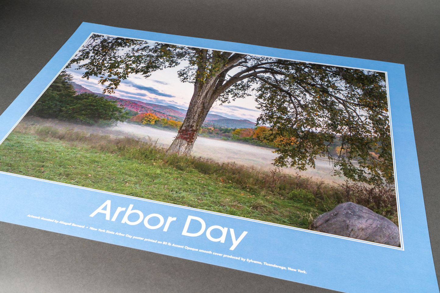 Arbor Day Poster 2025