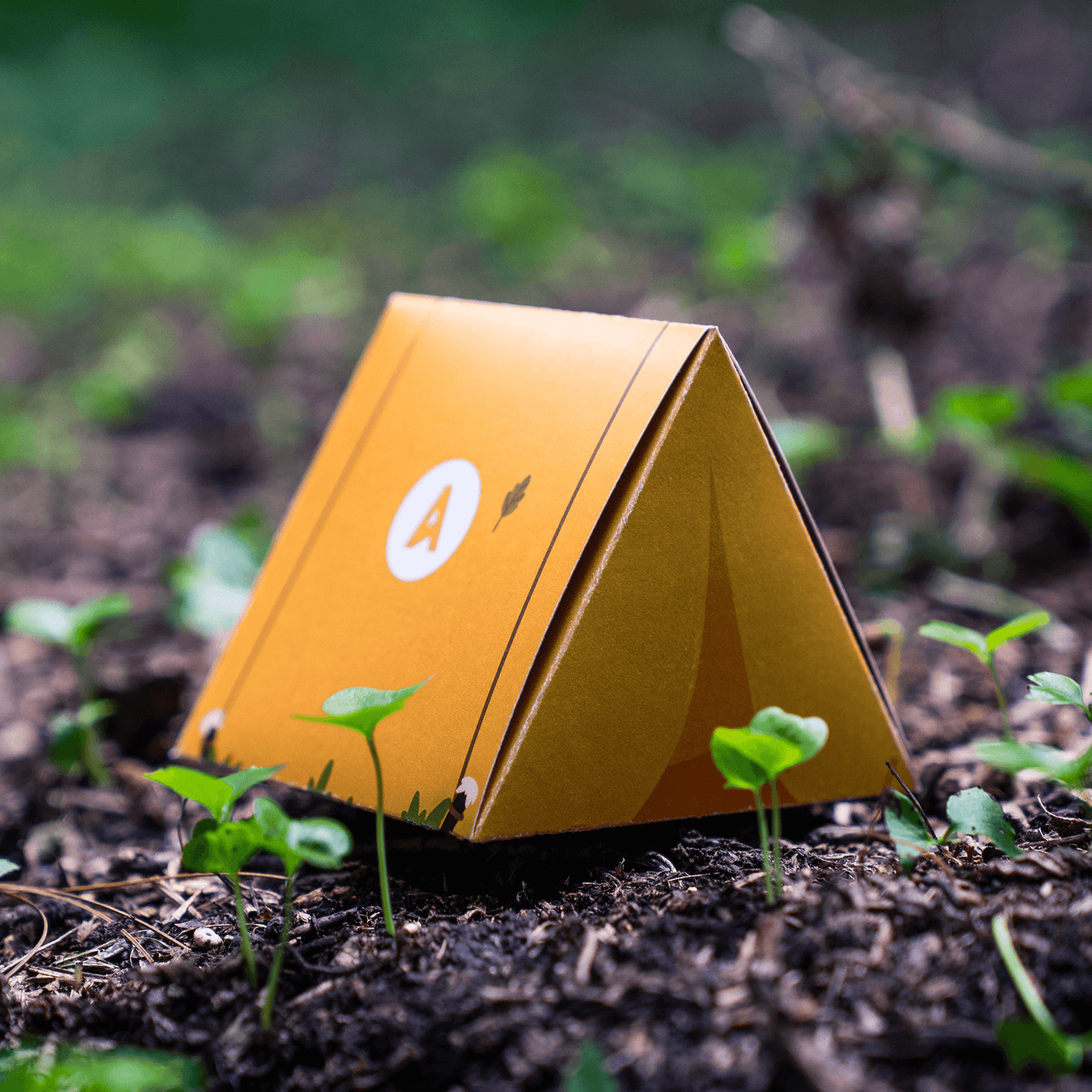 Accent® Opaque Midnight Snack Board game