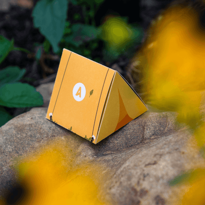 Accent® Opaque Midnight Snack Board game