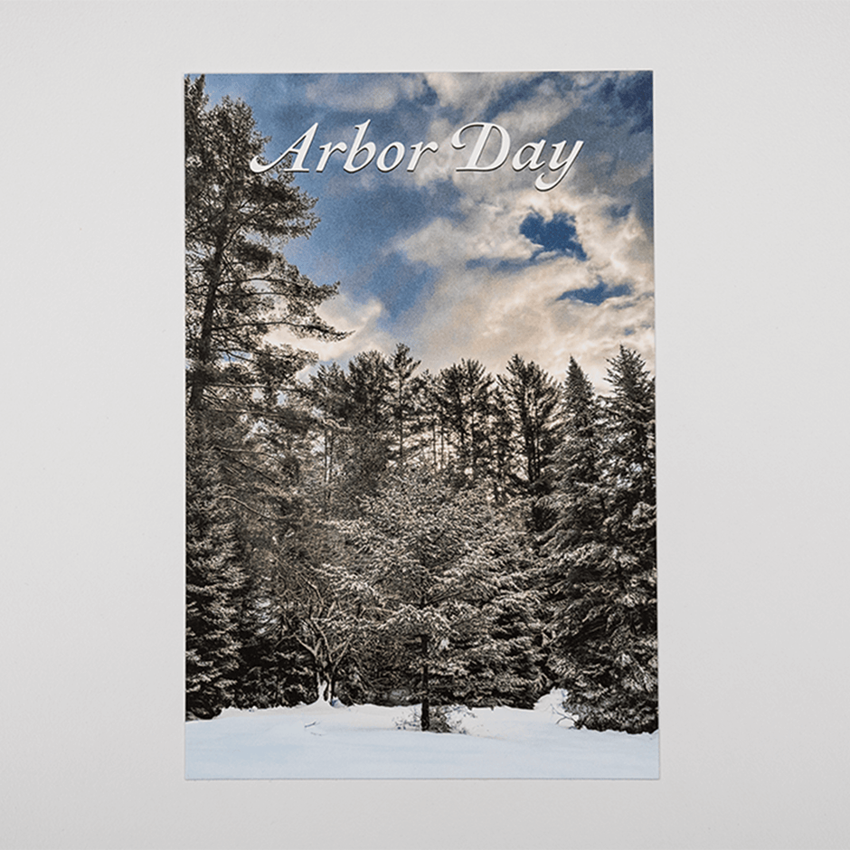 Arbor Day Postcard 2024