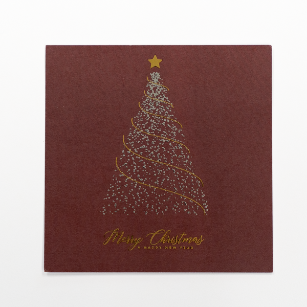 Accent Opaque Holiday Cards