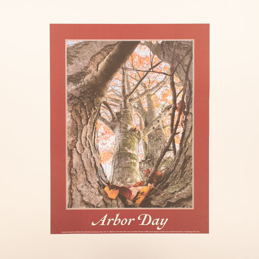 Arbor Day Poster - 2023