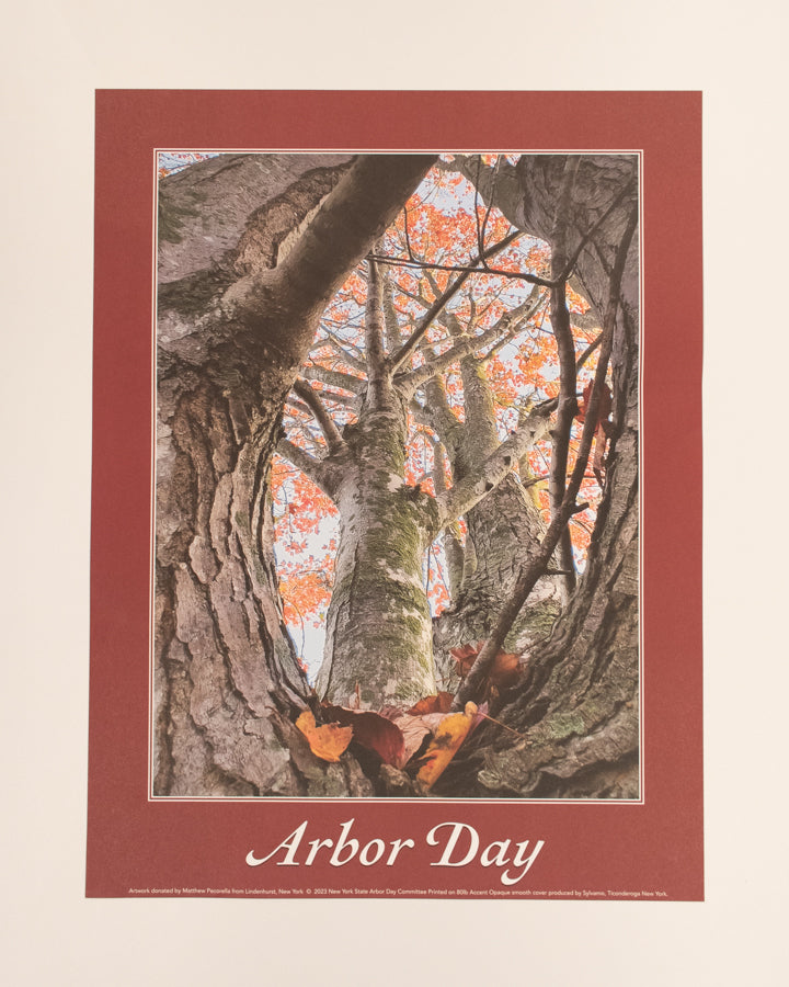 Arbor Day Poster - 2023