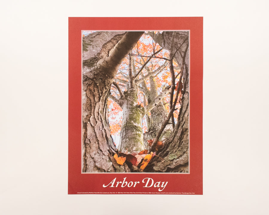 Arbor Day Poster - 2023